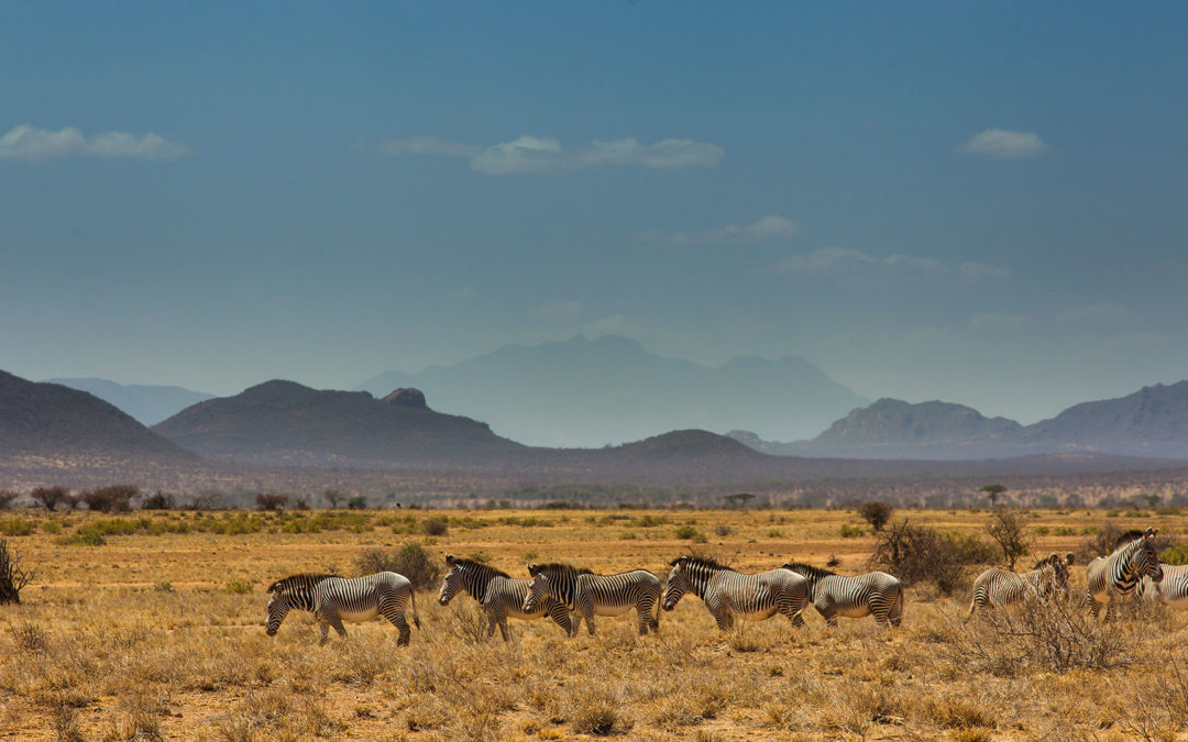 Dorniges Land
