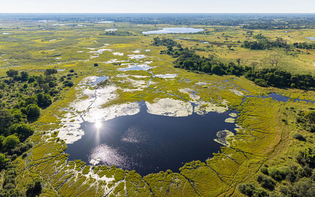 Botswana Camping