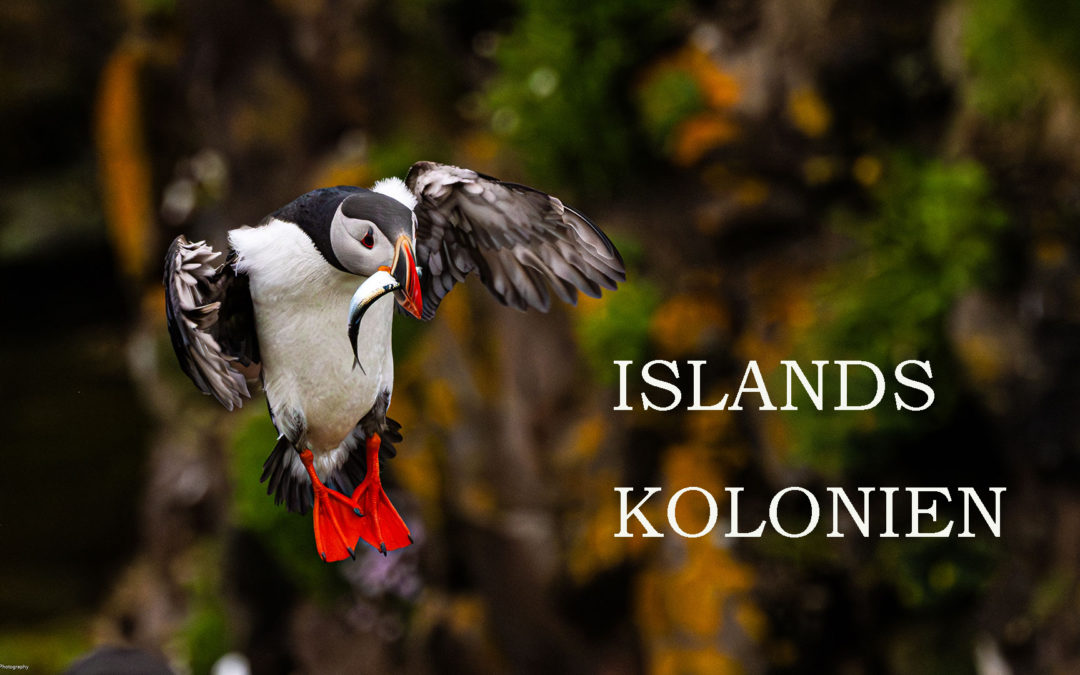 Islands Kolonien